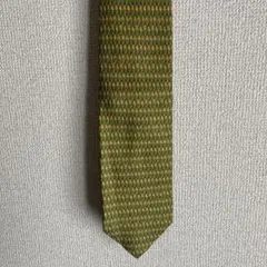 Salvatore Ferragamo 緑色パターンネクタイ