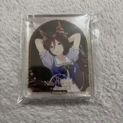 ウマ娘 The New Frontier コロッタ シーキングインザパール