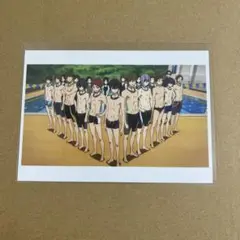 Free! MS ブロマイド