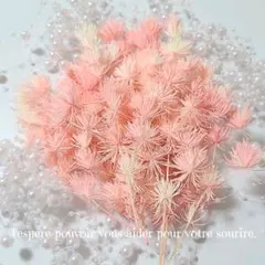 takicyan3様 リクエスト 10点 まとめ商品