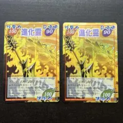 シャーマンキング カード 進化霊 2장 세트