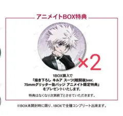 キルア アニメイトフェア 特典 缶バッジ 2個セット