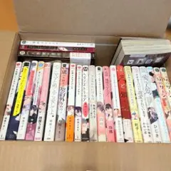 ＢL　まとめ売り　26冊 バラ売り可能