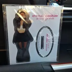 Ariana Grande アクリルスタンド eternal sunshine