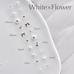 Item thumbnail for item 4de98034-36ce-4984-a6fb-af6fad2b5512