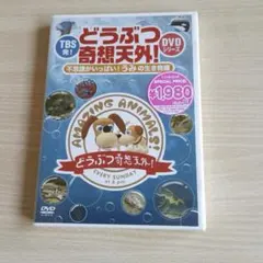 TBS発！どうぶつ奇想天外！DVDシリーズ不思議 がいっぱい！うみの生き物編
