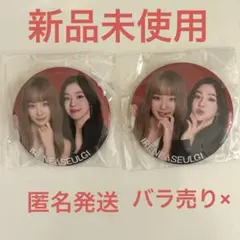 2025 IRENE & SEULGI Concert Tour 缶バッジセット