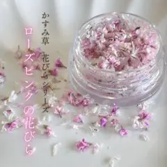 かすみ草　ローズピンク　花びら　フレーク　花びらフレーク　レジン　ドライフラワー