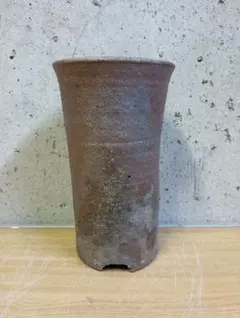 2025年最新】伝市鉢の人気アイテム - メルカリ