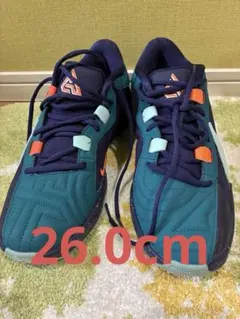 美品 NIKE ZOOM FREAK 5 EP バスケットボール シューズのサムネイル