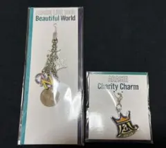嵐 Beautiful World キーホルダー チャーム 2点セット グッズ