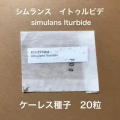 Yorkey様 リクエスト 2点 まとめ商品