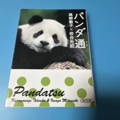 パンダちゃん 菅野ぱんだ 写真集 - メルカリ