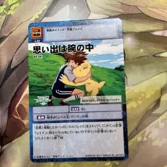 1763旧デジモンカード思い出は腕の中