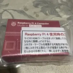 Raspberry Pi 4 Model B 4GB RAM 技適 OS付