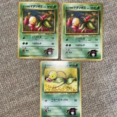 ♥️早い者勝ち！♥️ポケモンカード 旧裏 エリカのマダツボミ 3枚セット