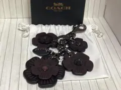 未使用袋付き美品コーチCOACH 花モチーフ キーホルダー本物 未使用袋付き美品コーチCOACH 花モチーフ キーホルダー本物 - メルカリ