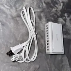 卓上多ポートAC充電器(60W/Aポート×10) EC-ACD04WH