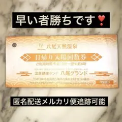 【最終限界！値下げ7枚セット】値引き八尾グランド温泉 激安価格！早い者勝ちセールのサムネイル