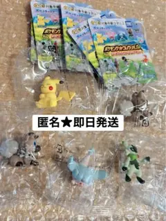 ポケモンゲットコレクションズ　イワンコ　ピカチュウ　ニャローテ　ミブリム