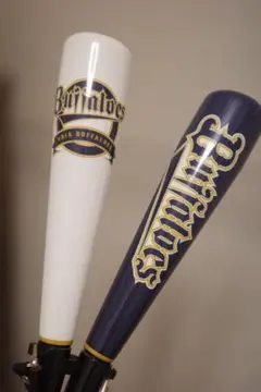 Item thumbnail for item 2ba7d001-45a4-446a-a9b4-a7a5cf3d2e0d