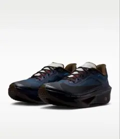 NIKE ZOOM FLY 6 29.0cm