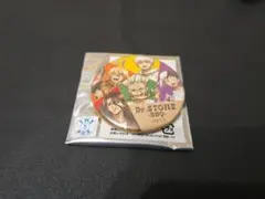 Dr.STONE ぷちくじ 缶バッジ