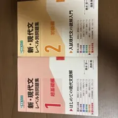 セット売り新・現代文レベル別問題集①超基礎編②初級編