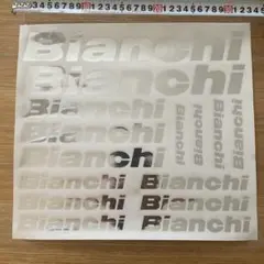 新品未使用　Bianchi ビアンキ　ステッカー（シルバー）　34cm✖️30cmのサムネイル