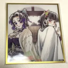 鬼滅の刃 webshopくじ 色紙 B33 しのぶ カナヲ