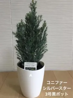 Nanbu様 リクエスト 2点 まとめ商品