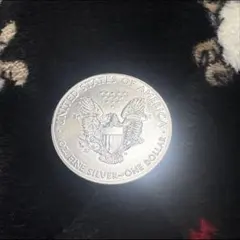 2026年最新】アメリカ イーグル銀貨の人気アイテム - メルカリ