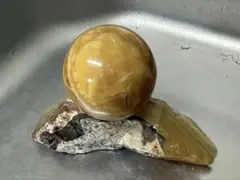 2026年最新】カルサイトの人気アイテム - メルカリ