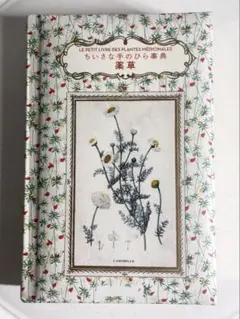 Item thumbnail for item cbaa4290-c7cc-4120-b209-5f2388b66ad6