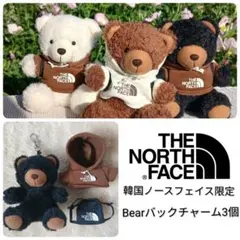 THE NORTH FACE WHITE LABEL ベアチャーム キーホルダー - メルカリ