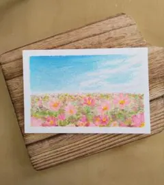 秋の空とコスモス畑 オイルパステル画　原画