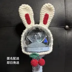 SEVENTEEN ペンライトカバー エスクプス carat棒 セブチカラット棒