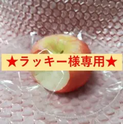 ★ラッキー様専用★kikisquishy りんご ぼやぼや XLサイズ