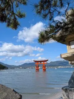 Item thumbnail for item 9df0c7b8-ce35-4b55-a157-4ac6f3cab747