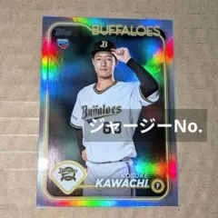 Item thumbnail for item 4136fa3d-9aeb-43d2-9c16-8eec5065bfed