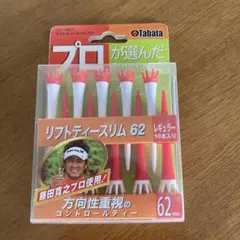 Item thumbnail for item 5bdca30d-6151-4543-a7f5-9115cbbbe988