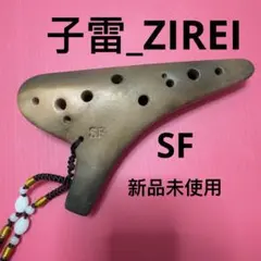 Item thumbnail for item e2ef5a07-e687-4ee6-ba15-a38e3a678c0a