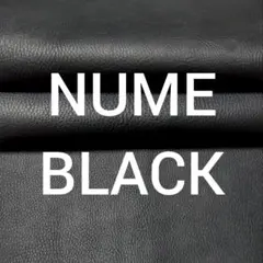 Item thumbnail for item 2561b5c5-a8fa-4ce0-ab29-ac205fd125e1