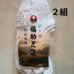 Item thumbnail for item 281254c1-34dd-46d3-ae75-49150d140e4b