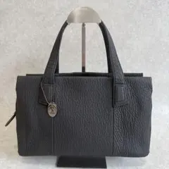 JRA認定 world rep シャークスキン 最上級ハンドバッグ 鮫革 日本製 