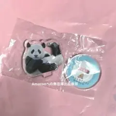楓浜　アクスタ　1歳3ヶ月　アドベンチャーワールド　パンダのサムネイル