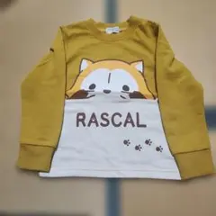ラスカルトレーナー