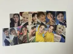 ウジ タレントカード