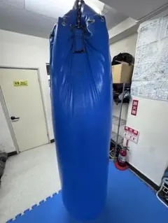 Winning ウイニング サンドバッグ TB 2400 高さ80cm - メルカリ