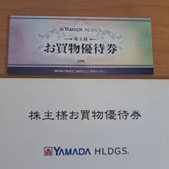 YAMADA HDGS. お買物優待券 10枚　5000円分